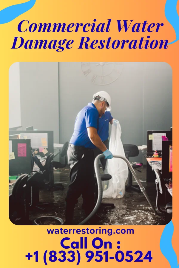 Commercial Water Damage Restoration in Kingston Springs, TN