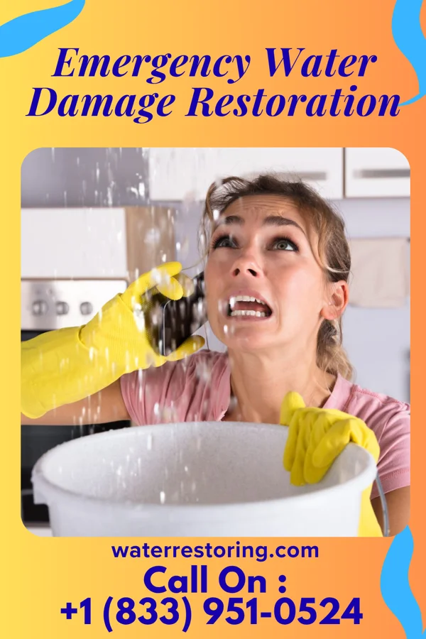 Emergency Water Damage Restoration in Kingston Springs, TN